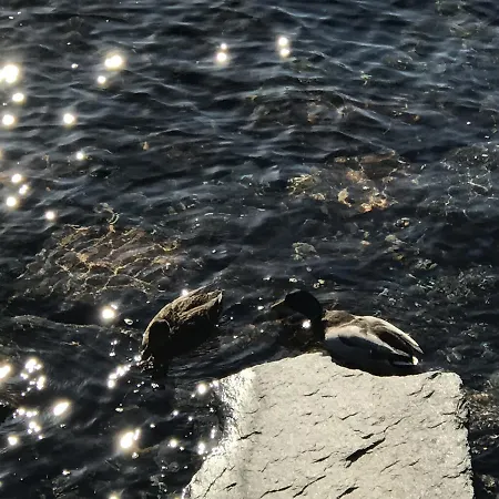 Casa Realba * Brissago