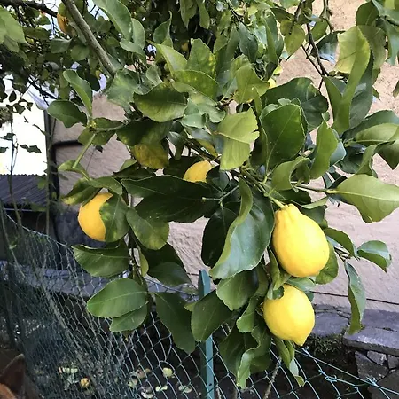 Appartamento Casa Realba *