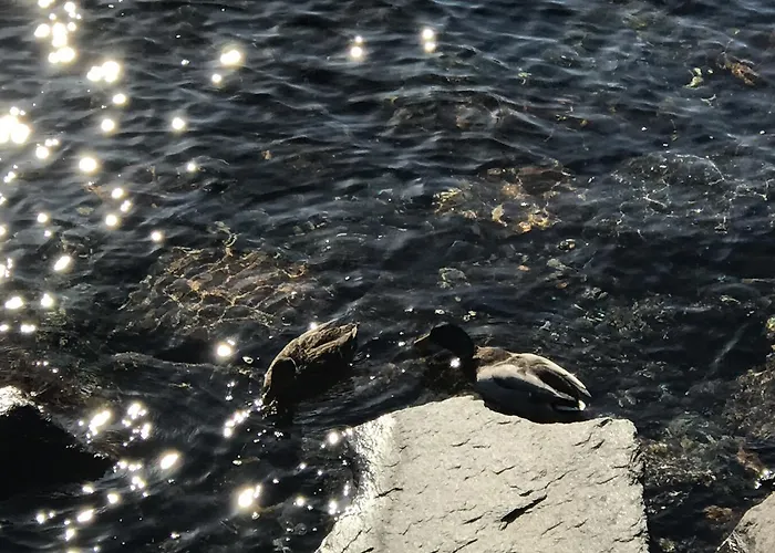 Casa Realba * Бриссаго