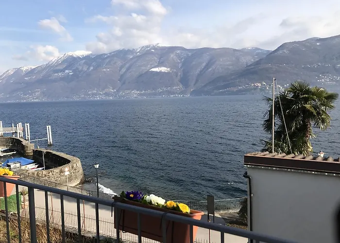 Apartament Casa Realba *