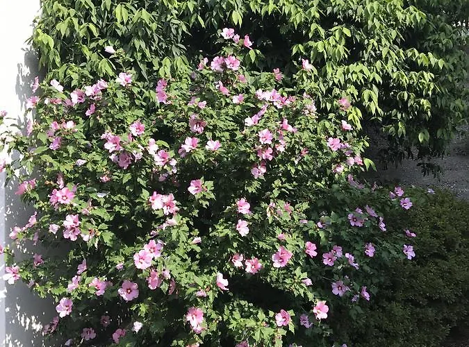 Casa Realba Apartament Brissago